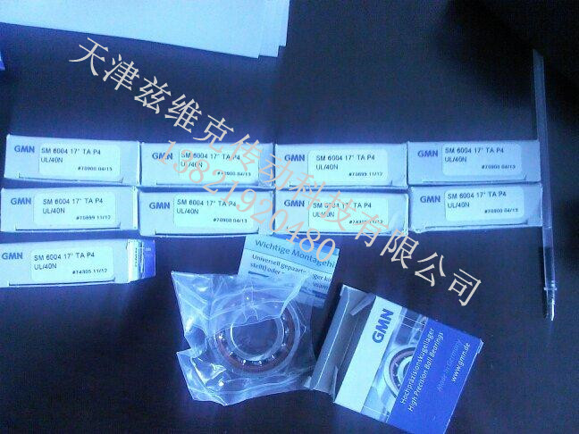 德國(guó)GMN軸承 德國(guó)GMN軸承